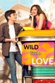 Wild Little Love (2019)