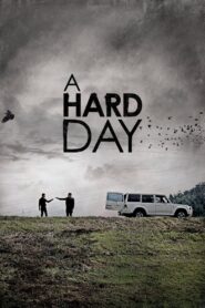 A Hard Day (2014)